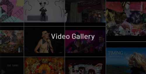 Video Gallery 